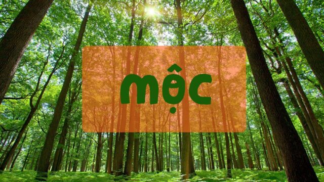 Mệnh kim là gì? Tổng hợp về phong thuỷ cho người mệnh Mộc