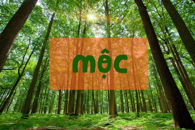 Mệnh kim là gì? Tổng hợp về phong thuỷ cho người mệnh Mộc Mệnh kim là gì? Tổng hợp về phong thuỷ cho người mệnh Mộc