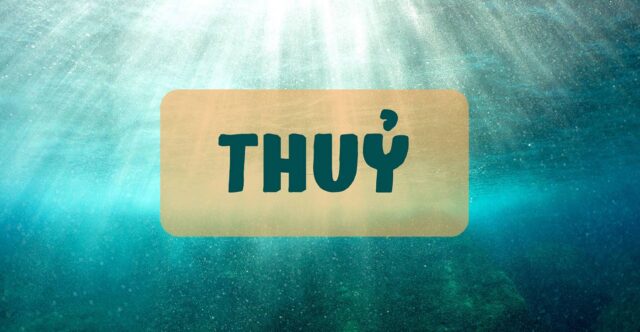 menh-thuy-la-gi-5office Mệnh Thuỷ là gì? Tổng hợp về phong thuỷ cho người mệnh Thuỷ
