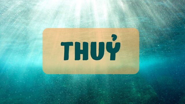 Mệnh Thuỷ là gì? Tổng hợp về phong thuỷ cho người mệnh Thuỷ