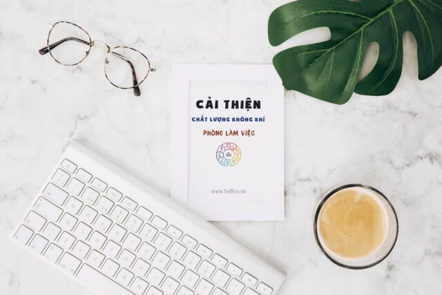 Cách cải thiện chất lượng không khí trong văn phòng làm việc